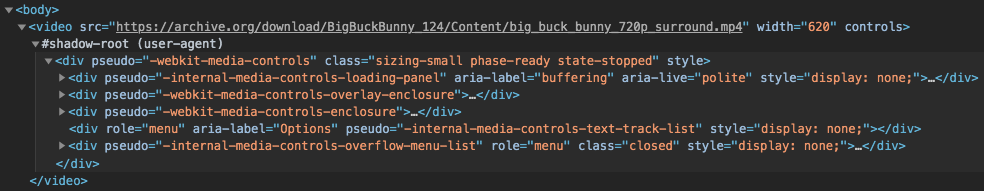 Example video element shadow dom